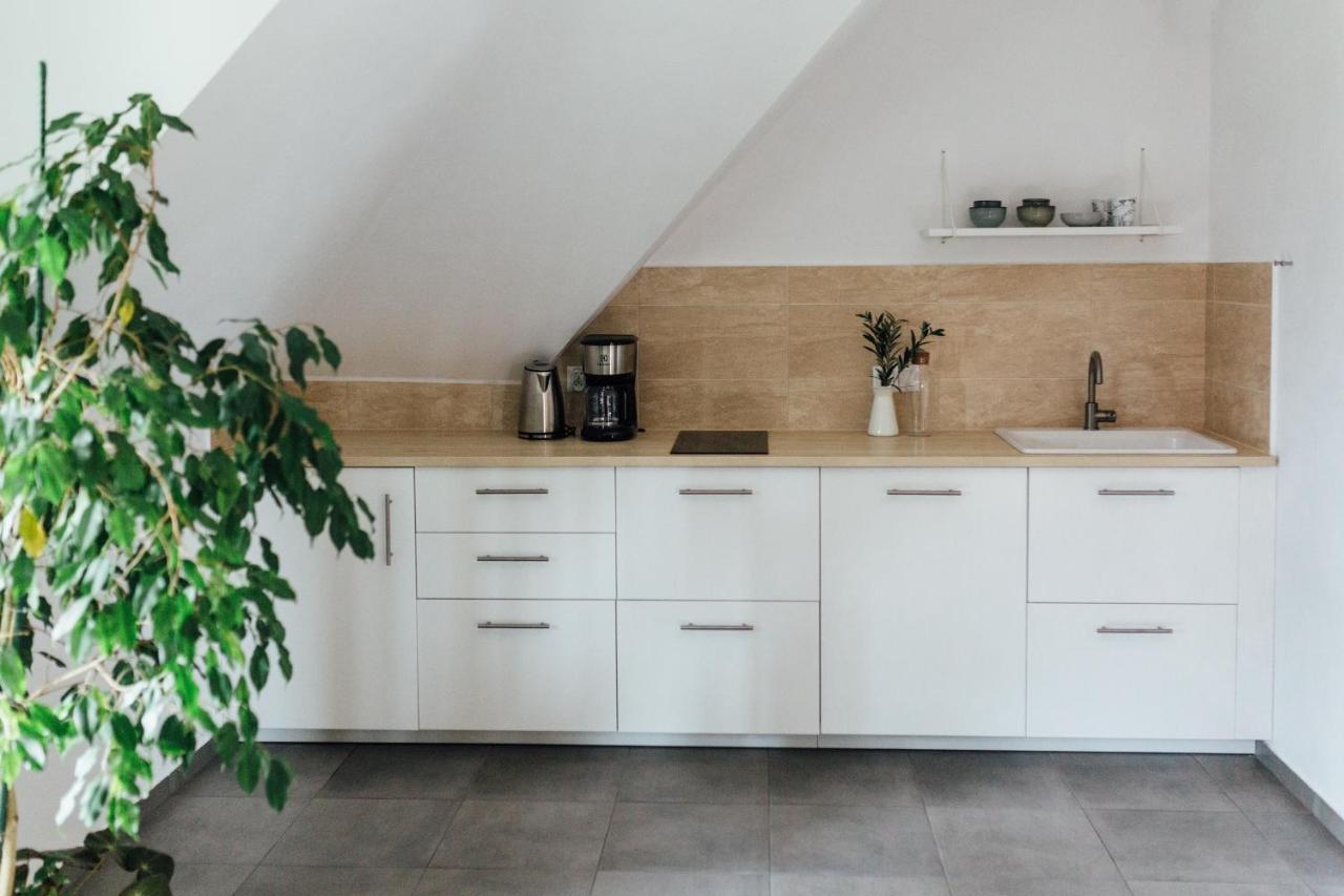 Apartament Maciejowy Dwór Zakopane Zewnętrze zdjęcie