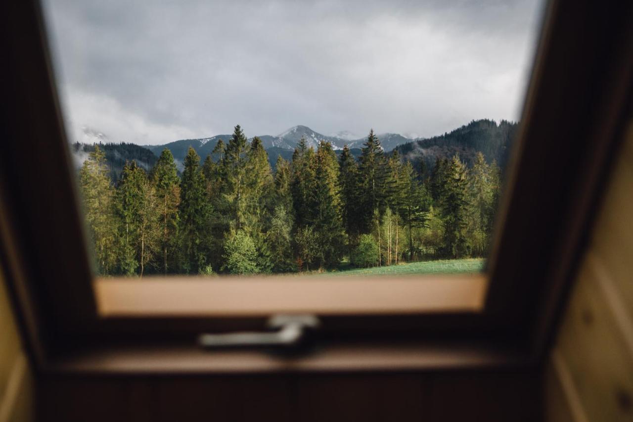 Apartament Maciejowy Dwór Zakopane Zewnętrze zdjęcie