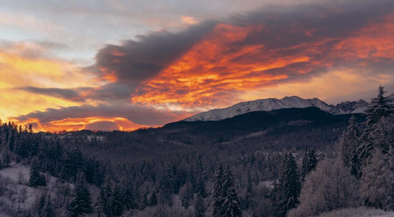 Apartament Maciejowy Dwór Zakopane Zewnętrze zdjęcie