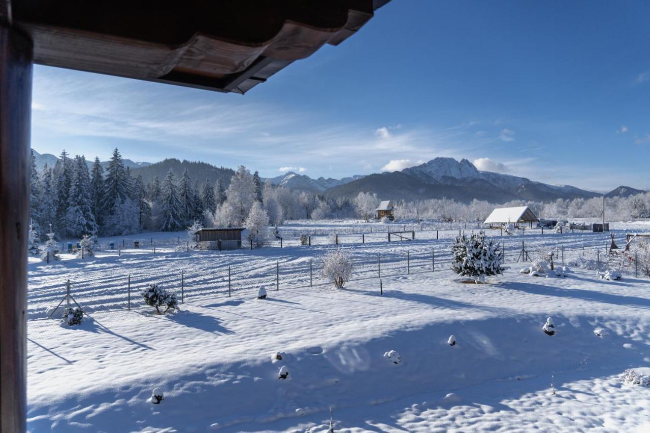 Apartament Maciejowy Dwór Zakopane Zewnętrze zdjęcie