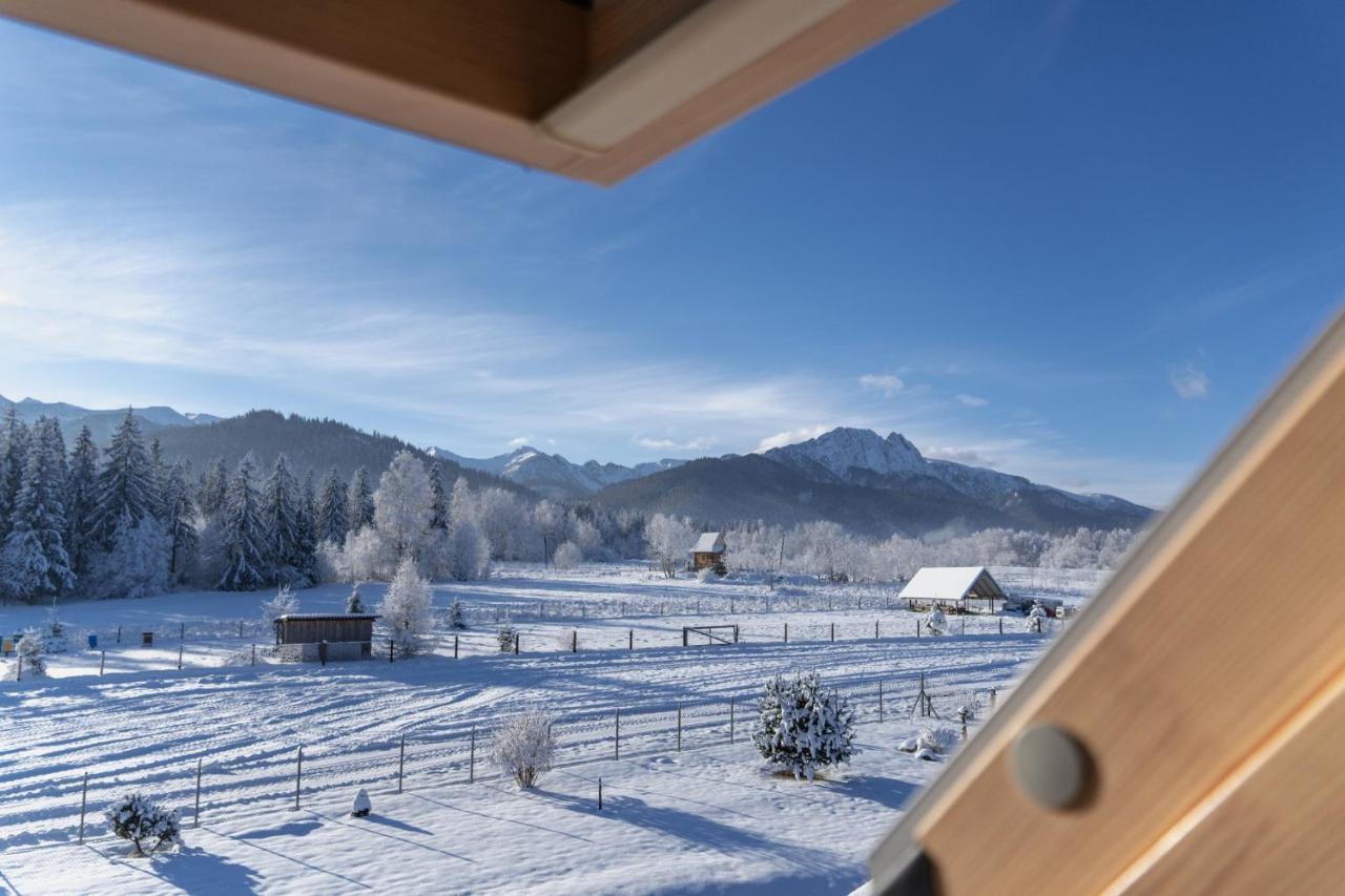 Apartament Maciejowy Dwór Zakopane Zewnętrze zdjęcie